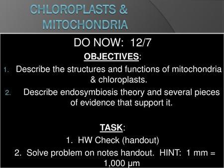 Chloroplasts & Mitochondria