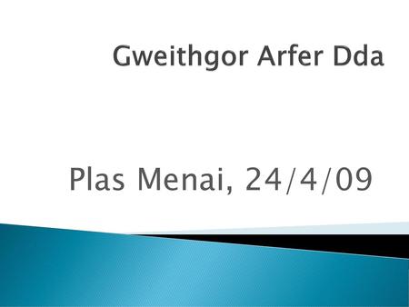Gweithgor Arfer Dda Plas Menai, 24/4/09.