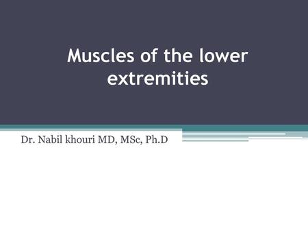 Muscles of the lower extremities