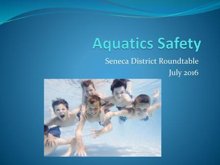Seneca District Roundtable July 2016