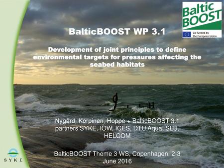 BalticBOOST Theme 3 WS, Copenhagen, 2-3 June 2016