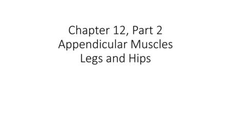 Chapter 12, Part 2 Appendicular Muscles Legs and Hips