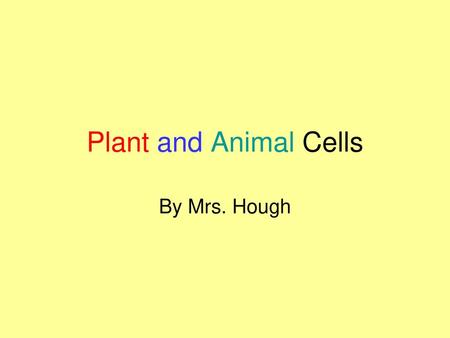 Plant and Animal Cells By Mrs. Hough.