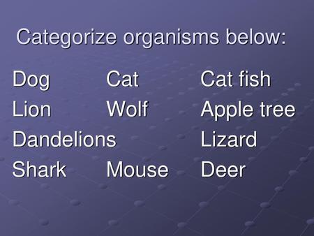Categorize organisms below: