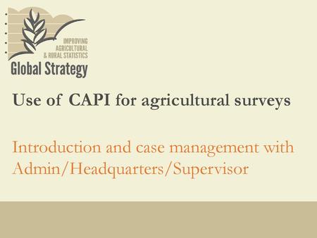 Use of CAPI for agricultural surveys