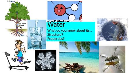 Water What do you know about its… Structure? Properties?