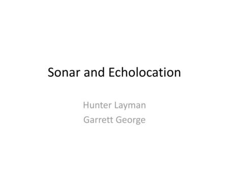 Sonar and Echolocation