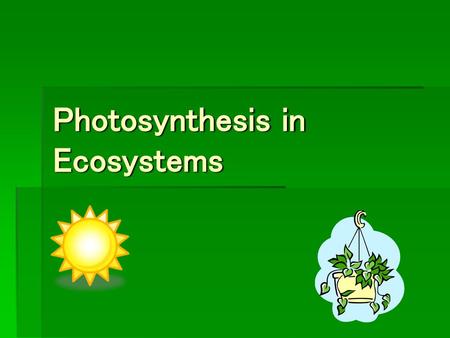 Photosynthesis in Ecosystems