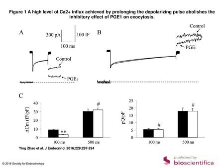 Figure 1 A high level of Ca2+ influx achieved by prolonging the depolarizing pulse abolishes the inhibitory effect of PGE1 on exocytosis. A high level.