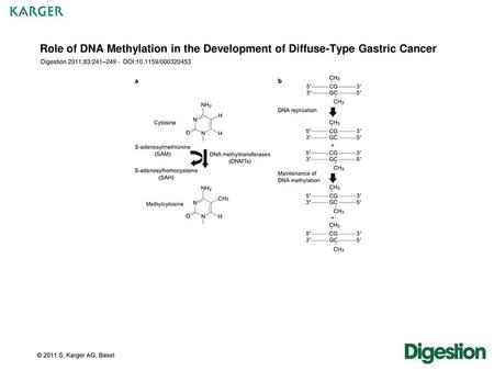 Role of DNA Methylation in the Development of Diffuse-Type Gastric Cancer Digestion 2011;83:241–249 - DOI:10.1159/000320453 Fig. 1.a DNA methyltransferases.
