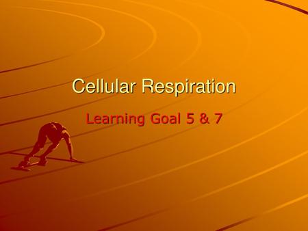 Cellular Respiration Learning Goal 5 & 7.