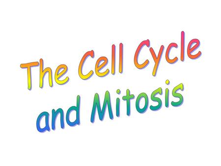 The Cell Cycle and Mitosis.