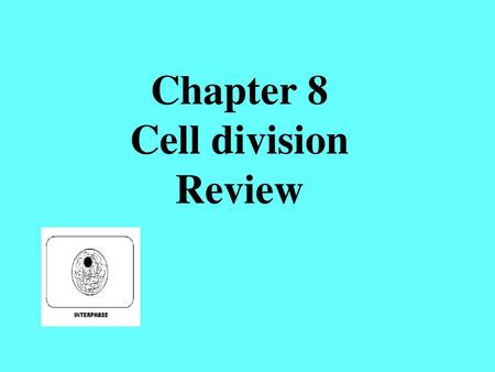 Chapter 8 Cell division Review
