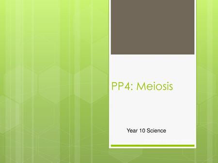 PP4: Meiosis Year 10 Science Pembroke Secondary ©2009.
