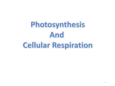 Photosynthesis And Cellular Respiration.