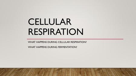 Cellular Respiration What happens during cellular respiration?