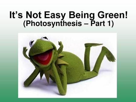 It’s Not Easy Being Green! (Photosynthesis – Part 1)
