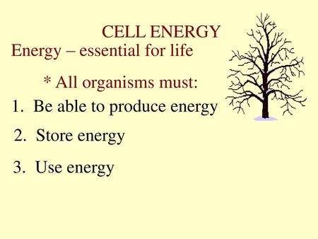 CELL ENERGY Energy – essential for life * All organisms must:
