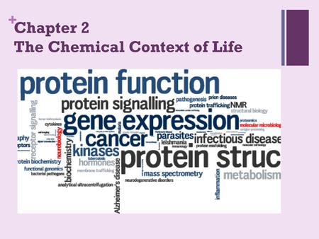 Chapter 2 The Chemical Context of Life
