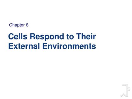 Cells Respond to Their External Environments