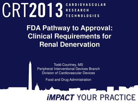 FDA Pathway to Approval: Clinical Requirements for Renal Denervation