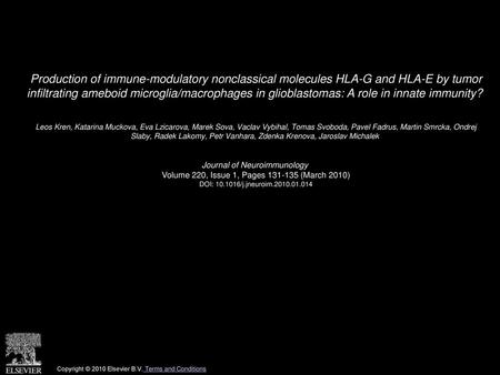 Production of immune-modulatory nonclassical molecules HLA-G and HLA-E by tumor infiltrating ameboid microglia/macrophages in glioblastomas: A role in.