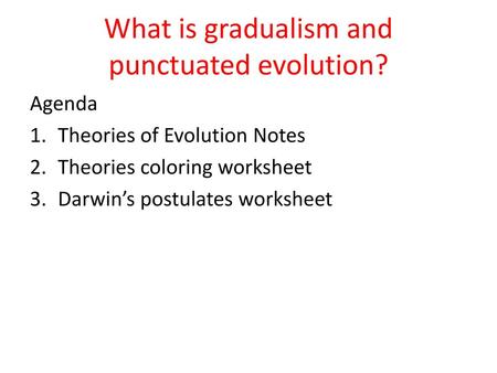 What is gradualism and punctuated evolution?
