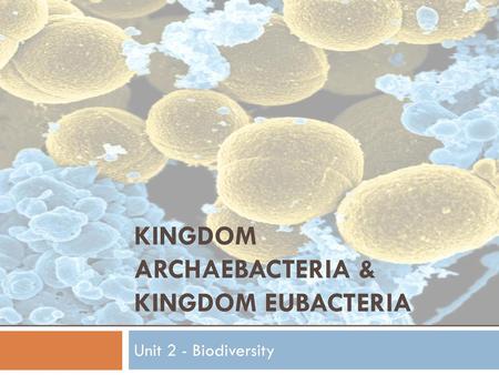 Kingdom Archaebacteria & Kingdom Eubacteria