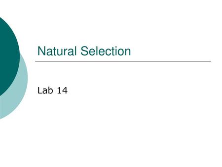 Natural Selection Lab 14.
