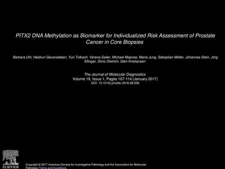PITX2 DNA Methylation as Biomarker for Individualized Risk Assessment of Prostate Cancer in Core Biopsies  Barbara Uhl, Heidrun Gevensleben, Yuri Tolkach,
