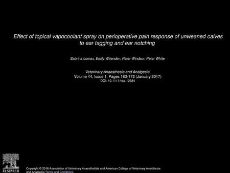 Effect of topical vapocoolant spray on perioperative pain response of unweaned calves to ear tagging and ear notching  Sabrina Lomax, Emily Witenden,