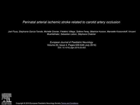 Perinatal arterial ischemic stroke related to carotid artery occlusion