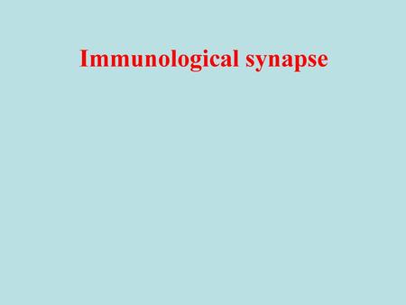 Immunological synapse