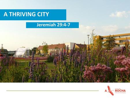 A THRIVING CITY Jeremiah 29:4-7.