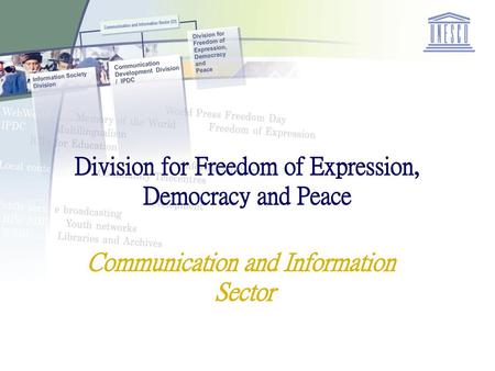 Division for Freedom of Expression, Democracy and Peace