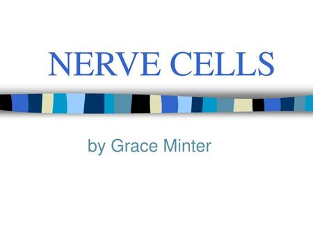 NERVE CELLS by Grace Minter.