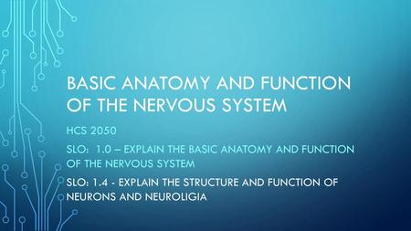 Basic anatomy and function of the nervous system