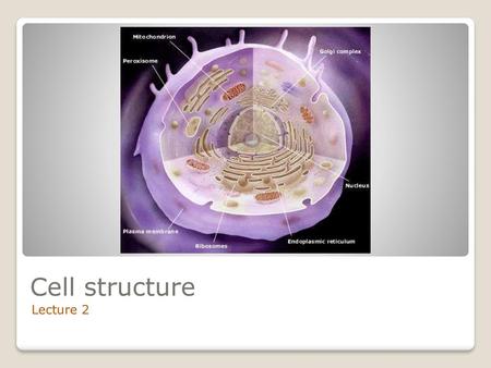 Cell structure Lecture 2.
