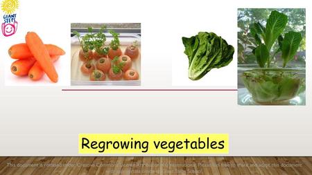 Regrowing vegetables This document is released under Creative Commons License Attribution 4.0 International. Please feel free to share and adapt this document.