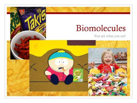 Biomolecules You are what you eat!.