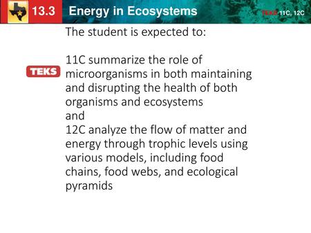 The student is expected to: 11C summarize the role of microorganisms in both maintaining and disrupting the health of both organisms and ecosystems and.