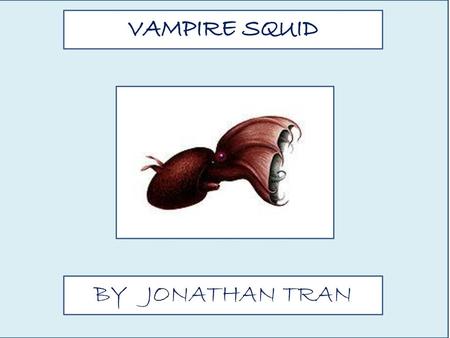 VAMPIRE SQUID BY JONATHAN TRAN