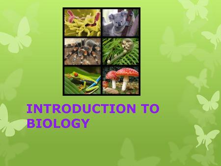 INTRODUCTION TO BIOLOGY