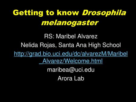Getting to know Drosophila melanogaster