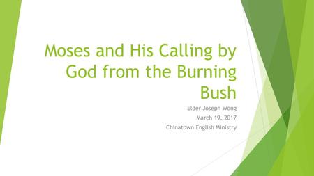 Moses and His Calling by God from the Burning Bush