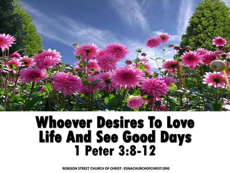 Whoever Desires To Love Life And See Good Days 1 Peter 3:8-12