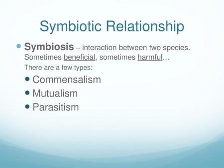 Symbiotic Relationship
