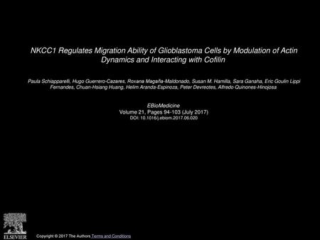 NKCC1 Regulates Migration Ability of Glioblastoma Cells by Modulation of Actin Dynamics and Interacting with Cofilin  Paula Schiapparelli, Hugo Guerrero-Cazares,