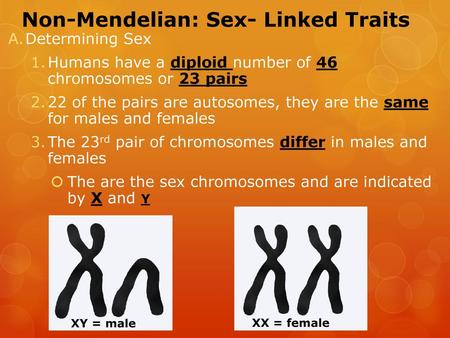 Non-Mendelian: Sex- Linked Traits