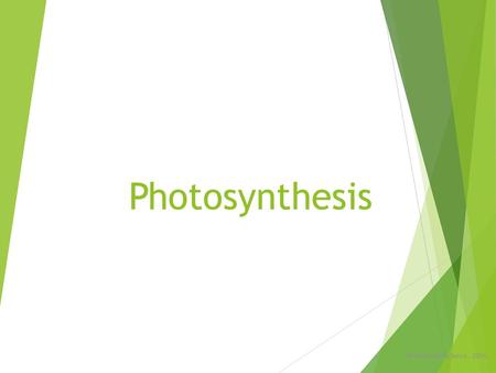 Photosynthesis Noadswood Science, 2016.